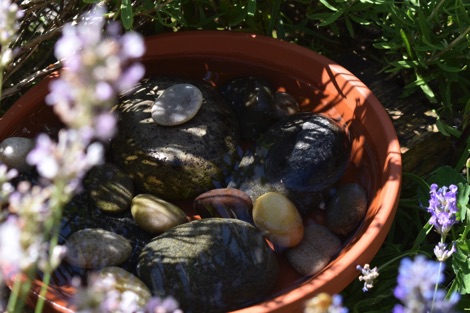 Bee bowl
